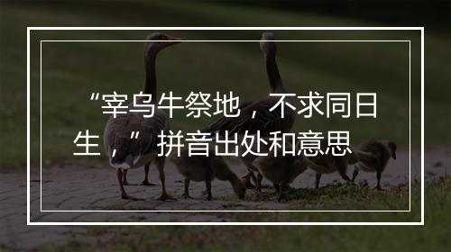 “宰乌牛祭地，不求同日生，”拼音出处和意思