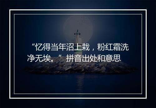 “忆得当年沼上栽，粉红霜洗净无埃。”拼音出处和意思