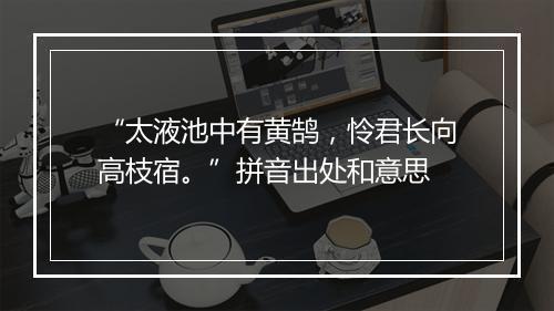 “太液池中有黄鹄，怜君长向高枝宿。”拼音出处和意思