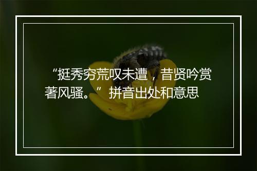 “挺秀穷荒叹未遭，昔贤吟赏著风骚。”拼音出处和意思