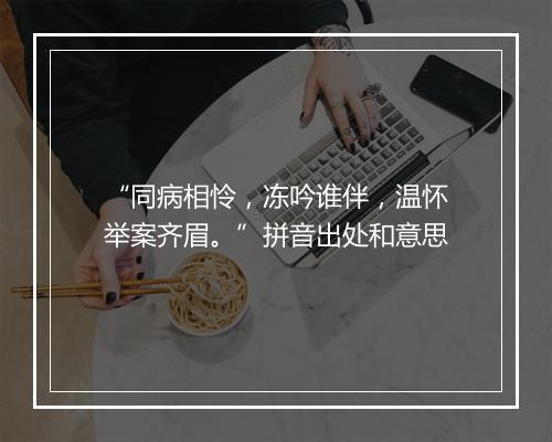 “同病相怜，冻吟谁伴，温怀举案齐眉。”拼音出处和意思