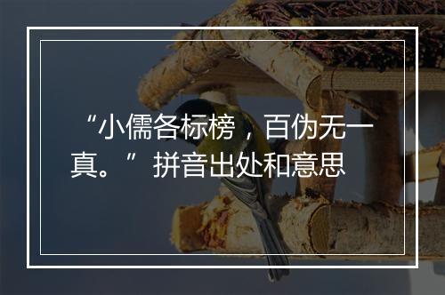 “小儒各标榜，百伪无一真。”拼音出处和意思