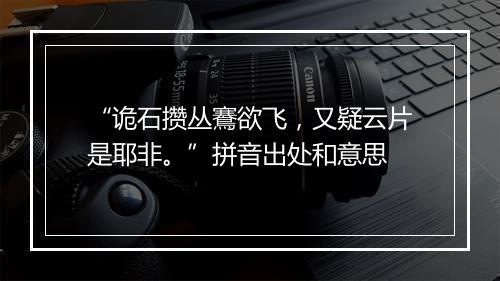 “诡石攒丛鶱欲飞，又疑云片是耶非。”拼音出处和意思