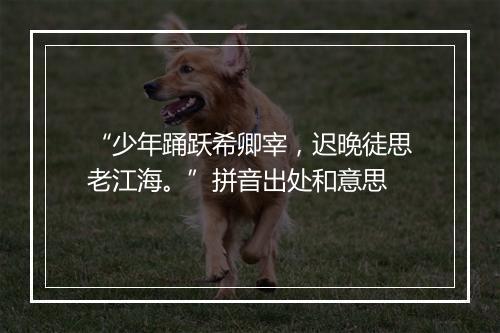 “少年踊跃希卿宰，迟晚徒思老江海。”拼音出处和意思