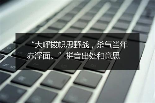 “大呼拔帜思野战，杀气当年赤浮面。”拼音出处和意思