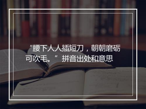 “腰下人人插短刀，朝朝磨砺可吹毛。”拼音出处和意思