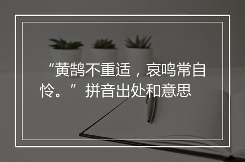 “黄鹄不重适，哀鸣常自怜。”拼音出处和意思