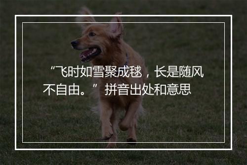 “飞时如雪聚成毬，长是随风不自由。”拼音出处和意思