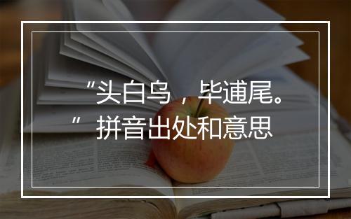 “头白乌，毕逋尾。”拼音出处和意思