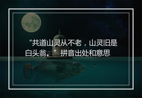 “共道山灵从不老，山灵旧是白头翁。”拼音出处和意思