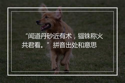 “闻道丹砂近有术，锱铢称火共君看。”拼音出处和意思