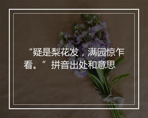 “疑是梨花发，满园惊乍看。”拼音出处和意思