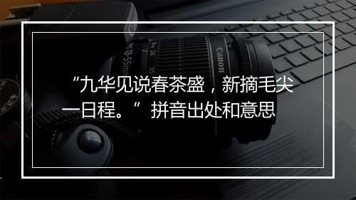 “九华见说春茶盛，新摘毛尖一日程。”拼音出处和意思