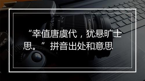 “幸值唐虞代，犹悬旷士思。”拼音出处和意思