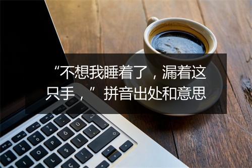 “不想我睡着了，漏着这只手，”拼音出处和意思