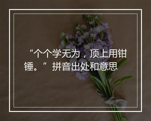 “个个学无为，顶上用钳锤。”拼音出处和意思