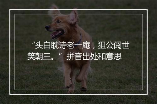 “头白耽诗老一庵，狙公阅世笑朝三。”拼音出处和意思