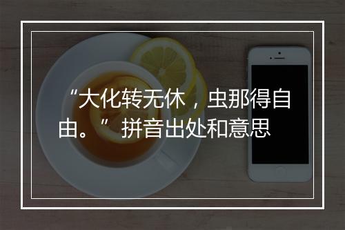 “大化转无休，虫那得自由。”拼音出处和意思