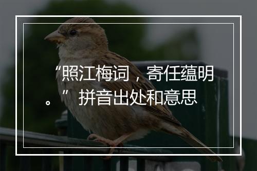 “照江梅词，寄任蕴明。”拼音出处和意思