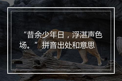 “昔余少年日，浮湛声色场。”拼音出处和意思