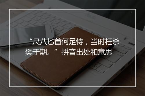 “尺八匕首何足恃，当时枉杀樊于期。”拼音出处和意思