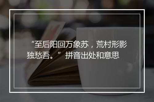 “至后阳回万象苏，荒村形影独愁吾。”拼音出处和意思