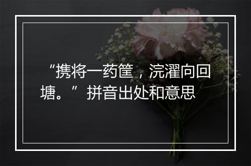 “携将一药筐，浣濯向回塘。”拼音出处和意思