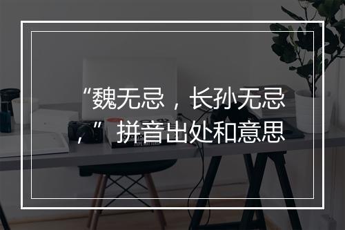 “魏无忌，长孙无忌，”拼音出处和意思