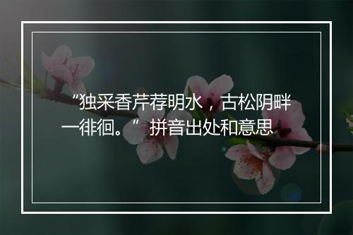 “独采香芹荐明水，古松阴畔一徘徊。”拼音出处和意思