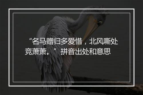 “名马赠归多爱惜，北风嘶处竞萧萧。”拼音出处和意思