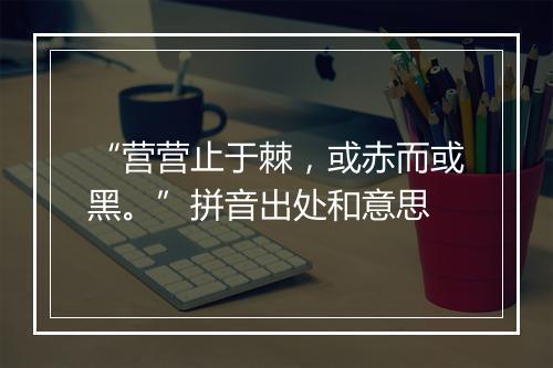 “营营止于棘，或赤而或黑。”拼音出处和意思