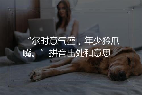 “尔时意气盛，年少矜爪嘴。”拼音出处和意思