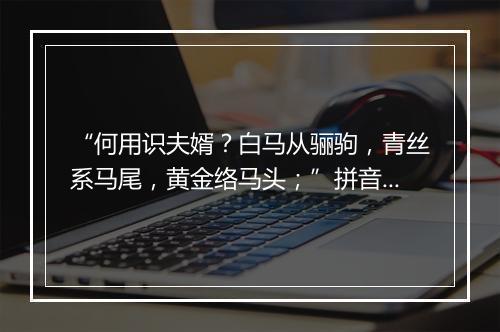 “何用识夫婿？白马从骊驹，青丝系马尾，黄金络马头；”拼音出处和意思