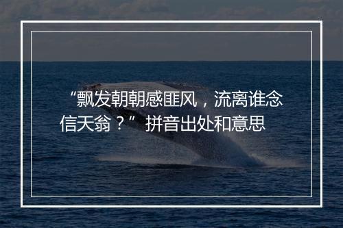 “飘发朝朝感匪风，流离谁念信天翁？”拼音出处和意思