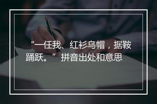 “一任我、红衫乌帽，据鞍踊跃。”拼音出处和意思