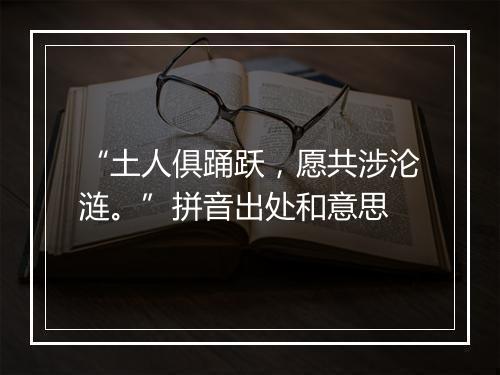 “土人俱踊跃，愿共涉沦涟。”拼音出处和意思