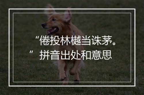 “倦投林樾当诛茅。”拼音出处和意思