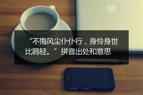 “不悔风尘仆仆行，身怜身世比鸥轻。”拼音出处和意思