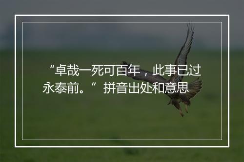 “卓哉一死可百年，此事已过永泰前。”拼音出处和意思