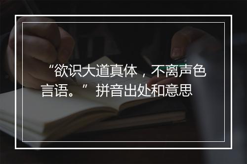 “欲识大道真体，不离声色言语。”拼音出处和意思