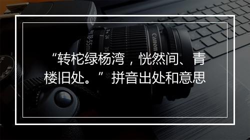 “转柁绿杨湾，恍然间、青楼旧处。”拼音出处和意思