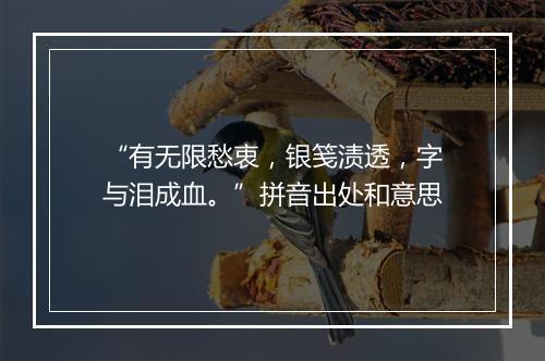 “有无限愁衷，银笺渍透，字与泪成血。”拼音出处和意思