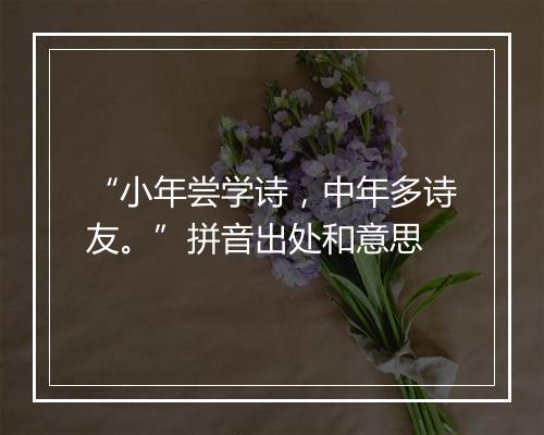 “小年尝学诗，中年多诗友。”拼音出处和意思