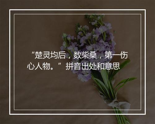 “楚灵均后，数柴桑，第一伤心人物。”拼音出处和意思