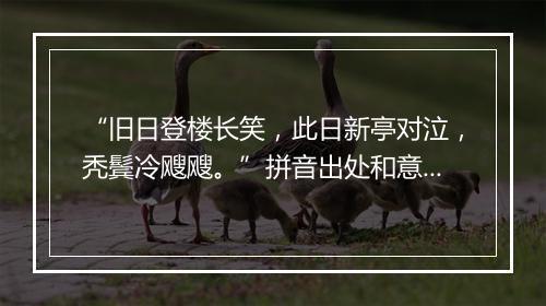 “旧日登楼长笑，此日新亭对泣，秃鬓冷飕飕。”拼音出处和意思