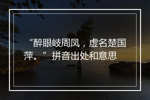 “醉眼岐周凤，虚名楚国萍。”拼音出处和意思