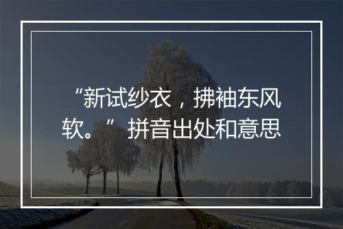 “新试纱衣，拂袖东风软。”拼音出处和意思