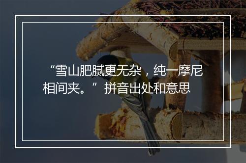 “雪山肥腻更无杂，纯一摩尼相间夹。”拼音出处和意思