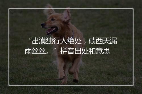 “出漠独行人绝处，碛西天漏雨丝丝。”拼音出处和意思