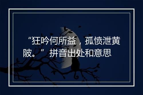 “狂吟何所益，孤愤泄黄陂。”拼音出处和意思